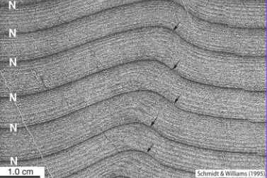 <p>Late proerozoic (~634Ma), glacial deposit</p><p>Laminated siltstone</p><p>Tidal depsoits (e.g. low altitude)</p>