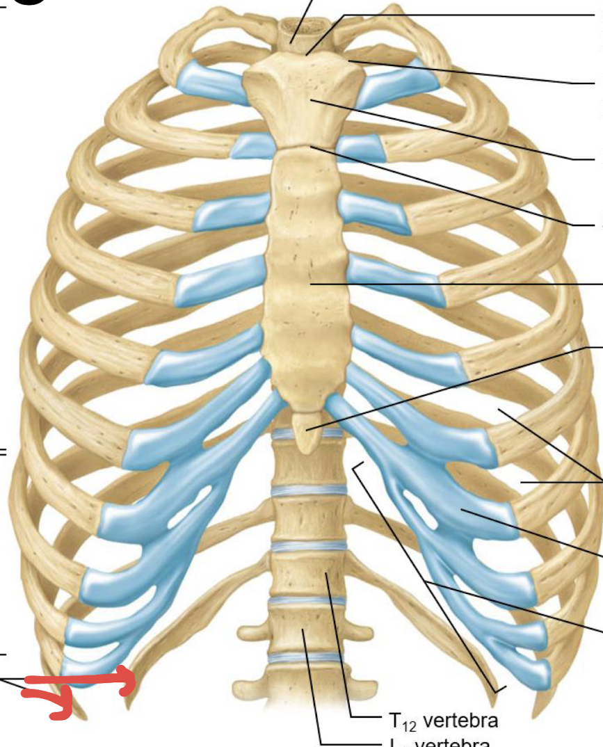 <p>what is this?</p>