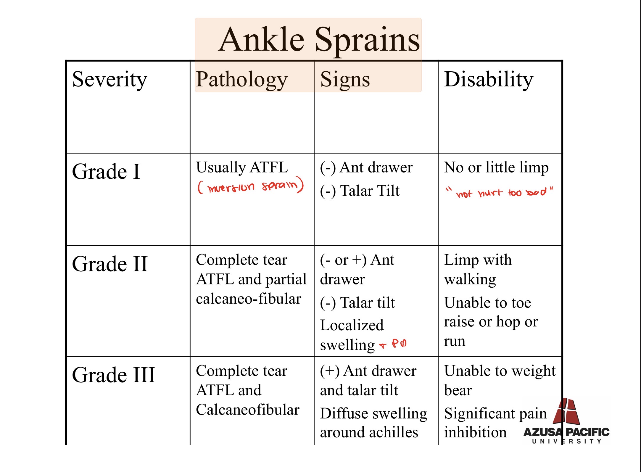 <p>Ankle Sprain Grades:</p><ul><li><p>Grades 1-3:</p></li></ul><p></p>