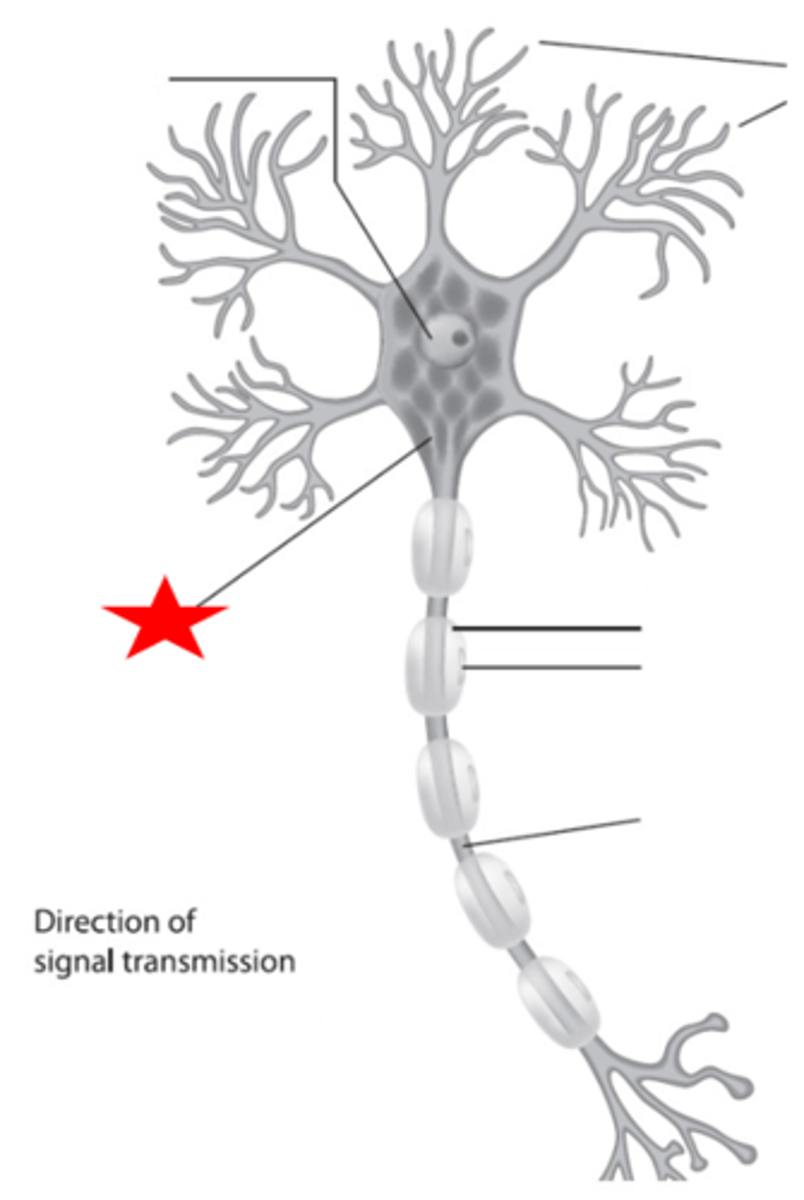<p>'trigger zone'</p>