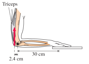 <p>Hold your upper arm vertical and your lower arm horizontal with your hand palm-down on a table, as shown in the Figure. If you now push down on the table, you’ll feel that your triceps muscle has contracted and is trying to pivot your lower arm about the elbow joint. If a person with the arm dimensions shown pushes down hard with a 99 N force, what force must the triceps muscle provide? You can ignore the mass of the arm and hand in your calculation.</p>