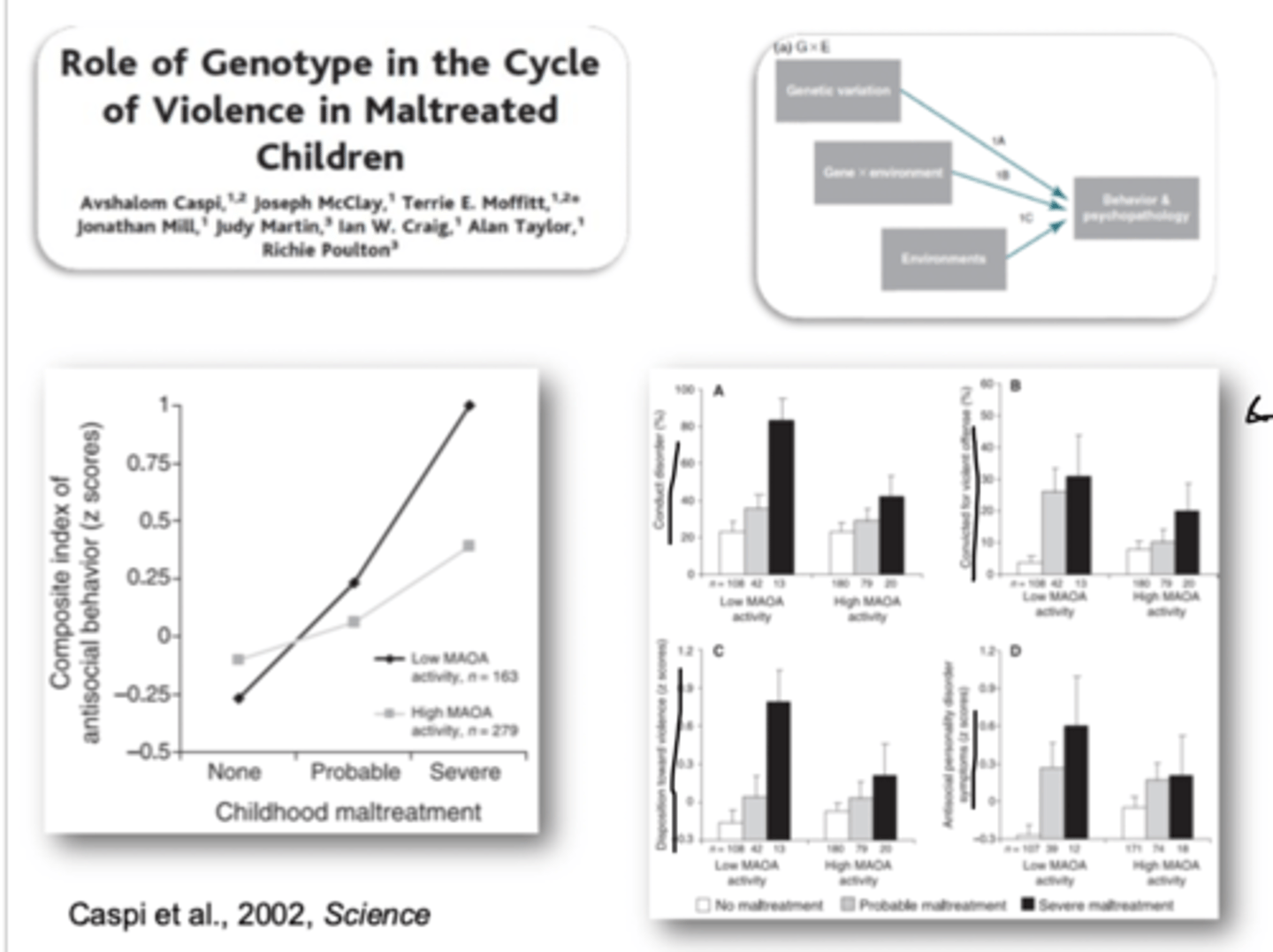 <p>- argument no longer if gene or environment is more important but trying to see there relative impacts together!</p><p>- enzyme that degrades amine neurotransmitters (dopamine, norepinephrine, serotonin)</p><p>- 2 alleles: high functioning and low functioning (linked to aggression)</p><p>- 30% of population carries but not everyone is aggressive = gene environment interaction!</p><p>- e.g. Capsi et al (2002)= maltreatment and low functioning MAOA= violence, just one without the other doesn't. he looked at 4 ways and the interaction is still there!</p><p>- MULTIFINALITY!! ^^</p>