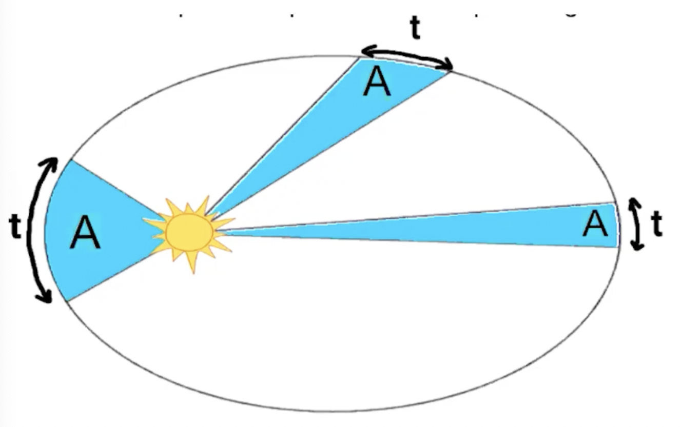 <ul><li><p><span>A radius vector joining any planet to the Sun sweeps out equal areas in equal lengths of time</span></p><ul><li><p><span>Basically, if the area of the sector is equal the length of time it takes for the planet to travel that length of the circumference is equal</span></p></li><li><p><span>Explained by the </span><em><span>conservation of angular momentum</span></em><span>: When the planet is closer to the sun, it moves faster.</span></p></li></ul></li></ul>