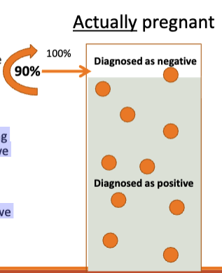 <p>If the test is more sensitive, among those who are actually pregnant, we would have fewer false negatives</p><p>When the test is more sensitive, we detected 90% of real pregnancies (false negative rate now 10%)</p>