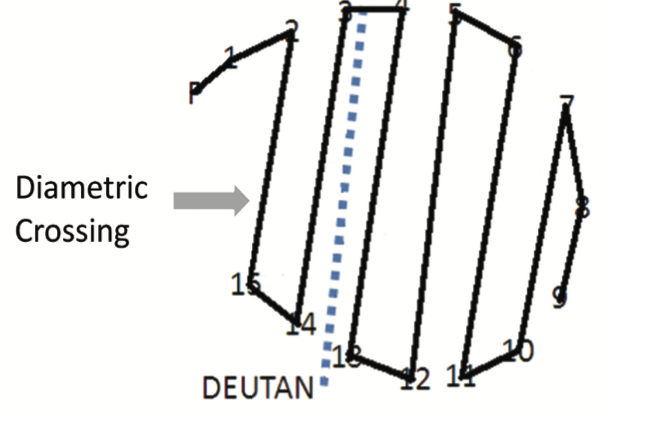 <p>if one or more diametric crossing are made it indicates mod/severe prtoan/deutan CCVD </p><p>up to 2 adjacent crossing allowed </p><p>can detect tritan </p>