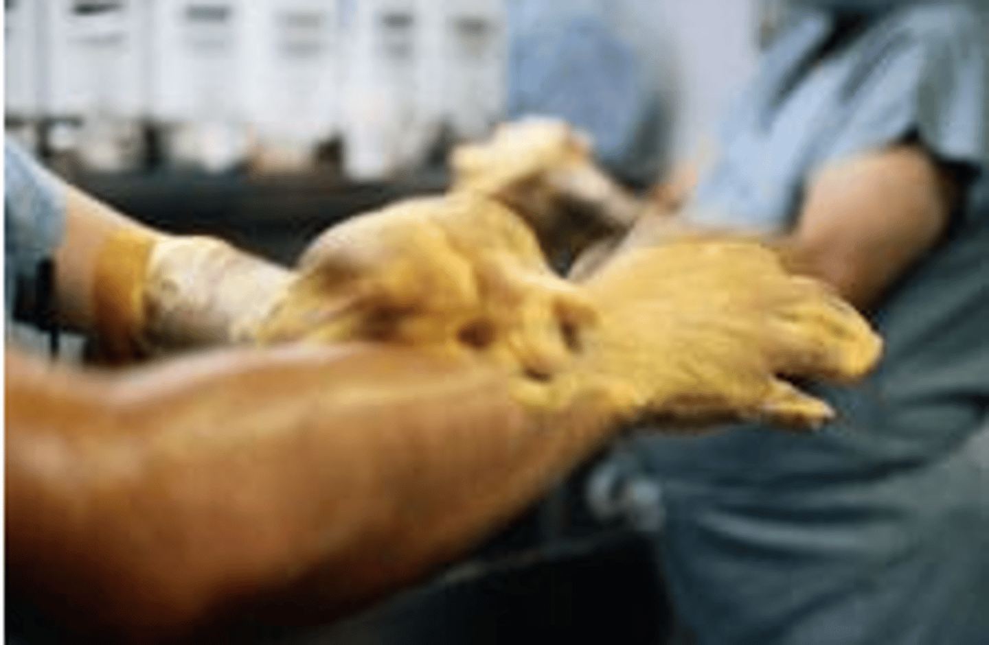 <p>Something that kills or prevents the growth of microorganisms such as bacteria and fungus.</p>