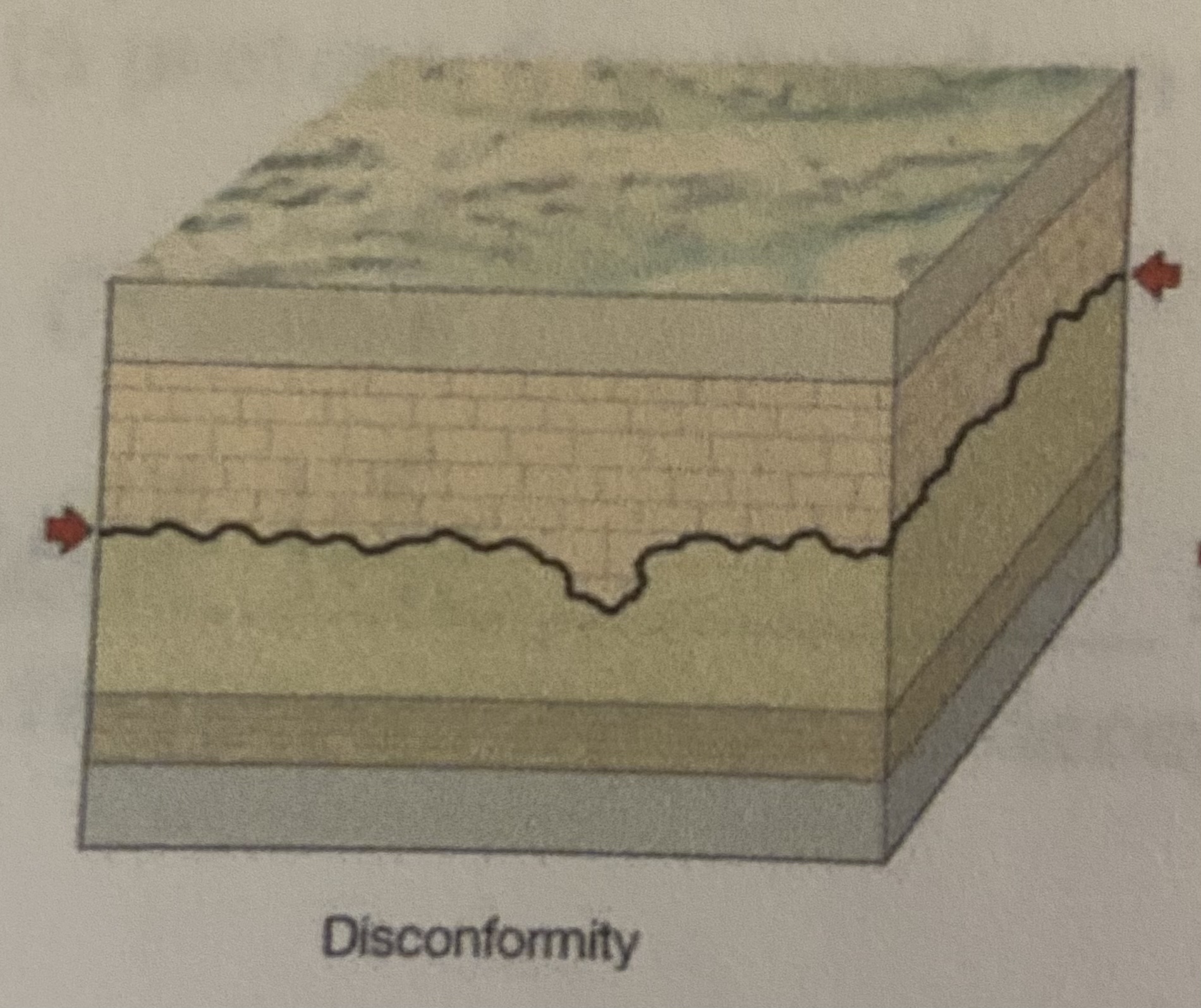 what conformity type is shown?