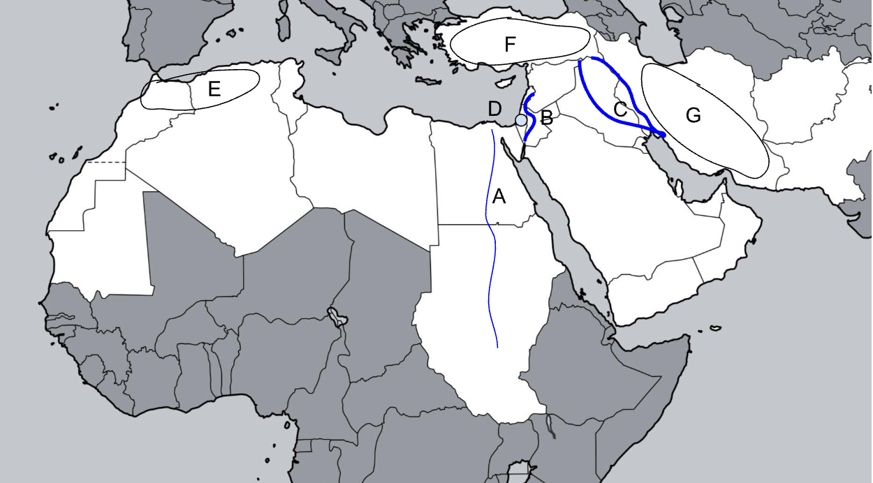 <p>G</p>