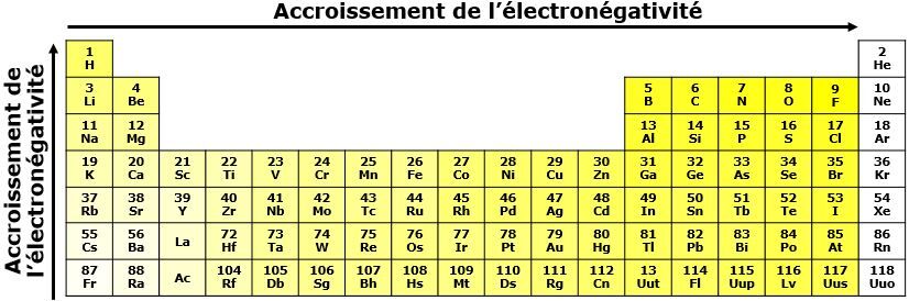 <p>Dans une même période, l'électronégativité augmente de gauche à droite dans le tableau périodique. Au fur et à mesure que l'on se déplace vers la droite, les atomes ont tendance à gagner des électrons afin d'acquérir une configuration électronique stable. Ainsi, les non-métaux ont une plus forte tendance à acquérir des électrons, alors que cette tendance est plus faible pour les éléments à gauche.</p><p>Dans une même famille, l'électronégativité augmente du bas vers le haut du tableau périodique. Puisque les atomes du bas du tableau périodique sont plus gros, la force d'attraction exercée par le noyau est plus faible étant donné la plus grande distance entre les charges positives du noyau et les électrons situés sur la dernière couche électronique. Par conséquent, plus l'atome est grand, plus l'électronégativité diminue.</p><h4>!! Gaz inertes = aucune électronégativité !!</h4>