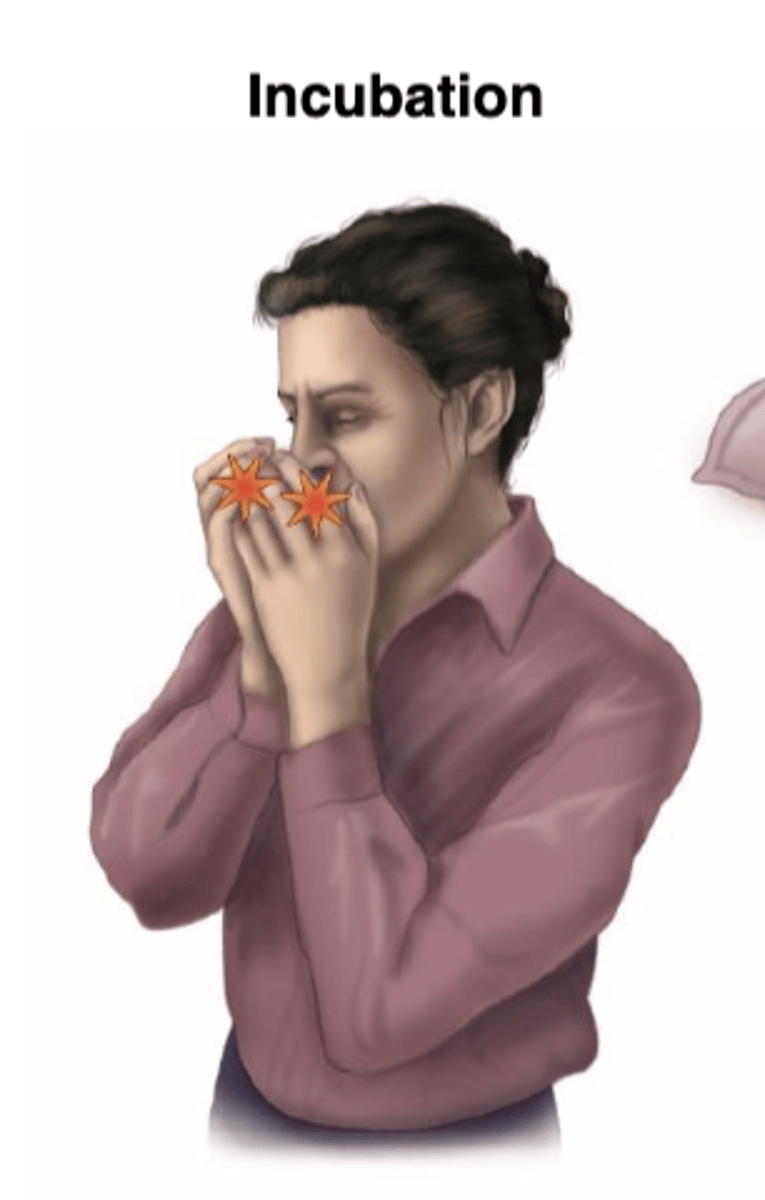 <p>spread the infectious agent during the incubation period</p>