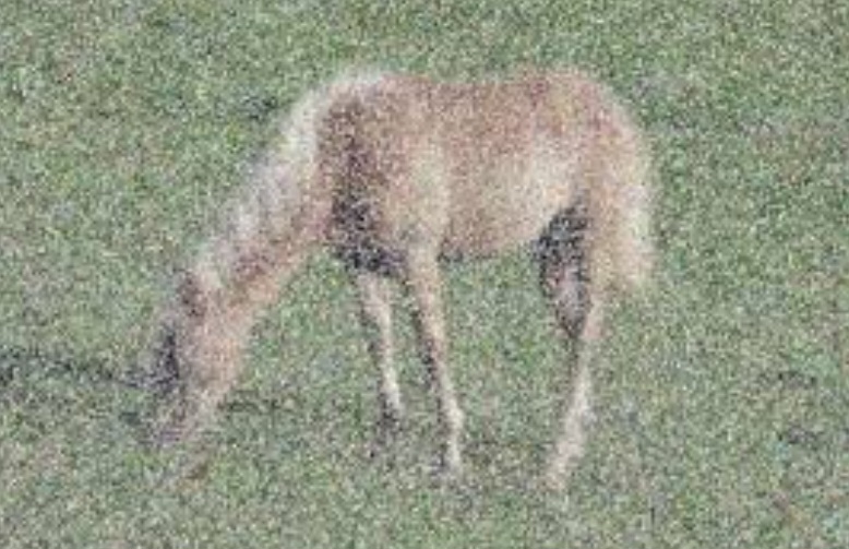 <p>This image has a lot of....?</p>