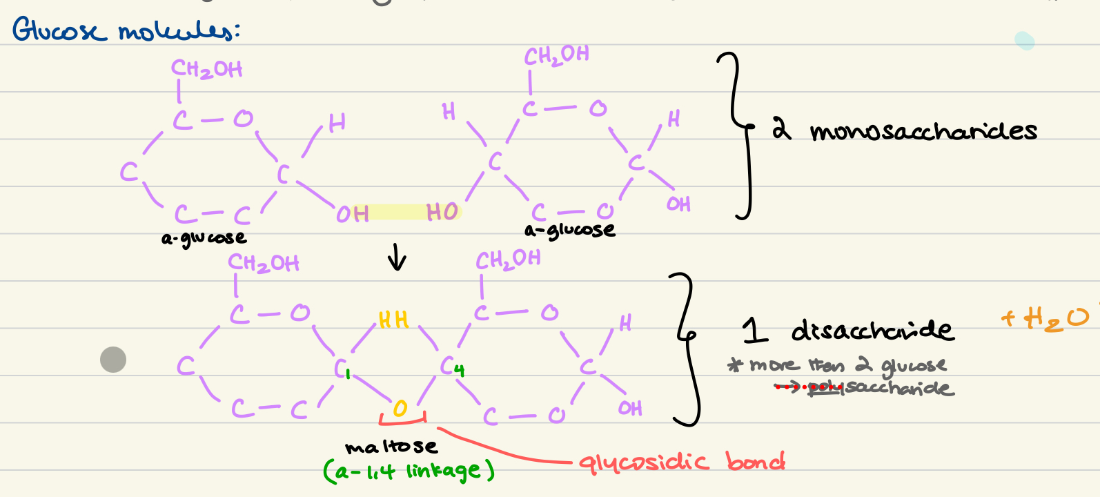 knowt flashcard image