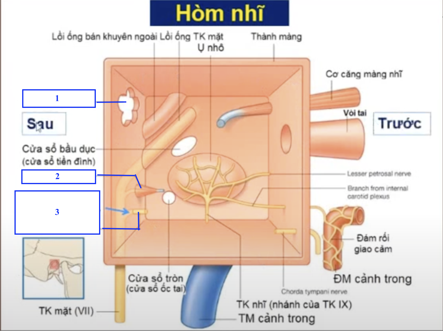 <p>Chi tiết số 1 là gì ?</p><p>Chi tiết số 2 là gì ?</p><p>Chi tiết số 3 là gi ? </p>