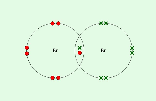 <ul><li><p>A diagram showing how non-metals share electrons (see image)</p></li><li><p>Both of these bromine atoms have shared an electron so they both have a full outer shell</p></li><li><p>There are dots and crosses so we can tell which electrons came from which atom</p></li><li><p>We can see the shared electrons in the overlapping section</p></li><li><p>An atom will share as many electrons as it wants to gain</p></li></ul>