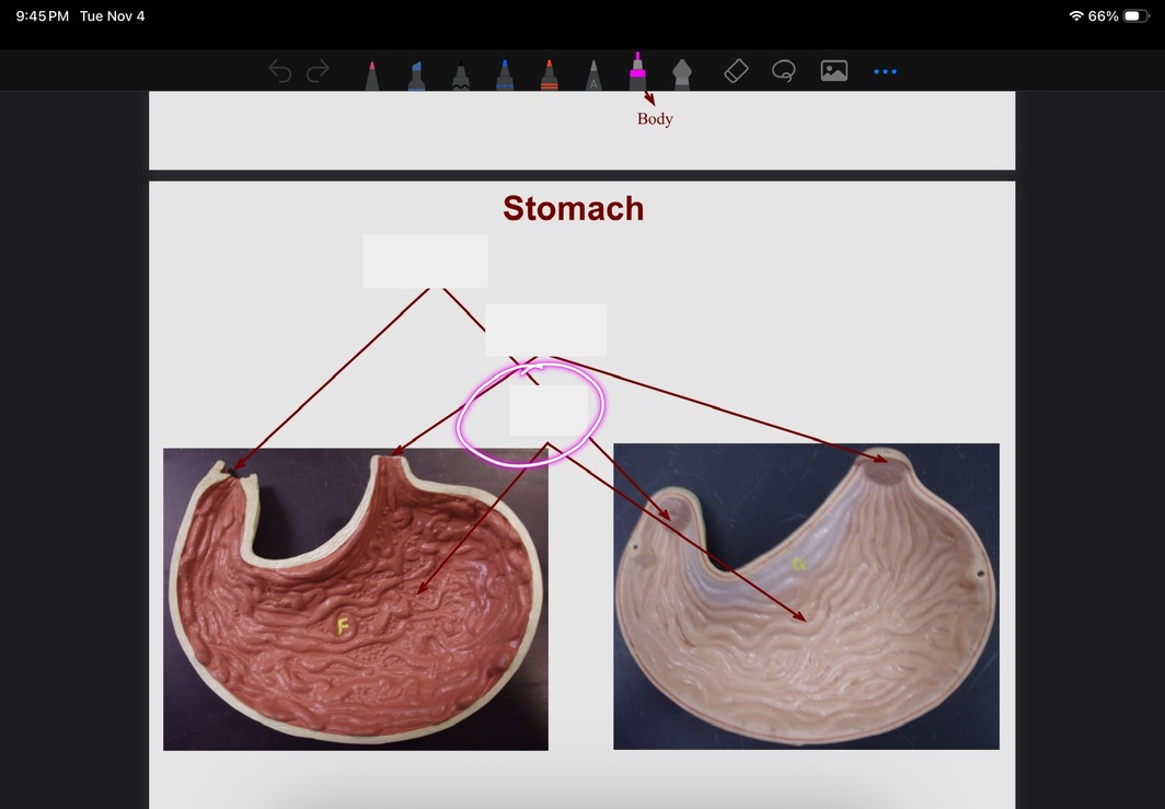 <p>What is this?</p>