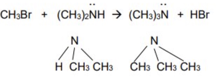 <p>the secondary amine produced can also react with another halogenoalkane to produce a tertiary amine </p><ul><li><p>haloalkane + secondary amine → tertiary amine + HX</p></li></ul>