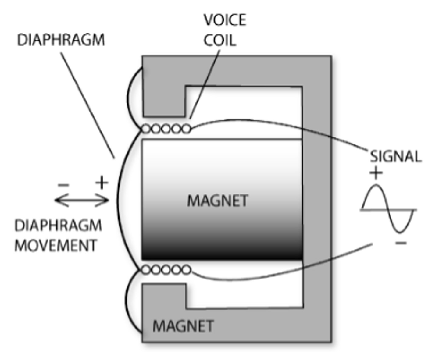 <p>What type of microphone is this?</p>