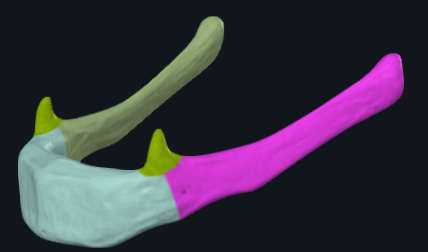 term image