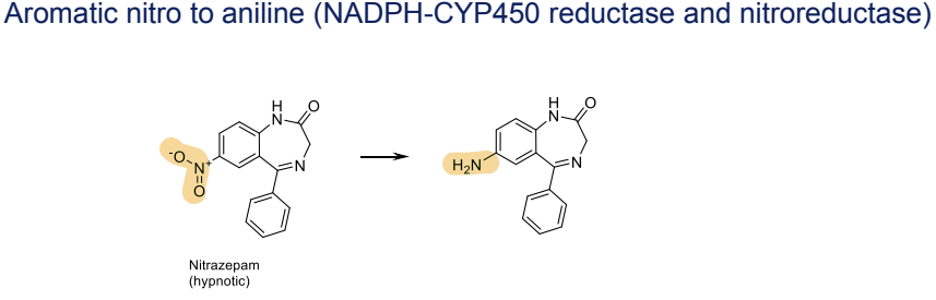 <p>Reduction to anilines, catalyzed by NADPH-CYP450 reductase and nitroreductase </p>