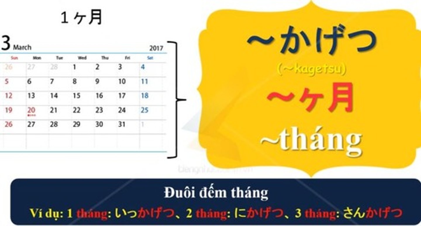 <p>for...month(s) [counter for month(s)]</p>