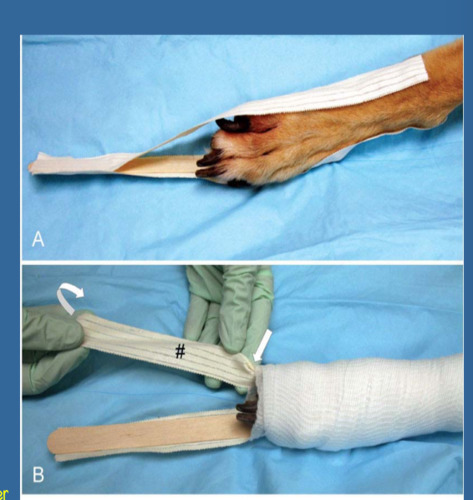 <p>What is the purpose of the tape shown in the following image </p>