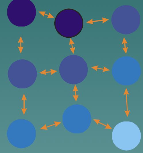 The populations are arranged like a net (between neighboring populations)