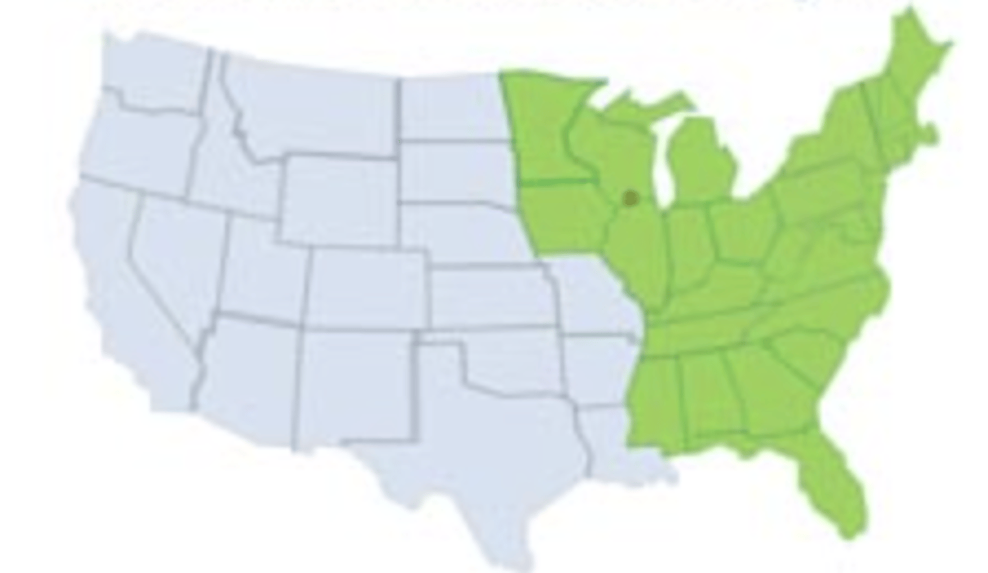 <p>Northeast/Great Lakes (Iroquois, Algonquian)</p>