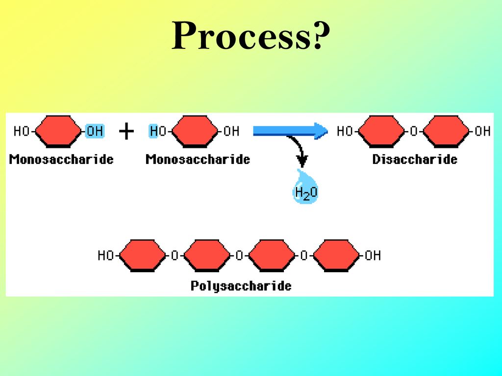 <p>Reaction used to build polymers by taking out water</p>