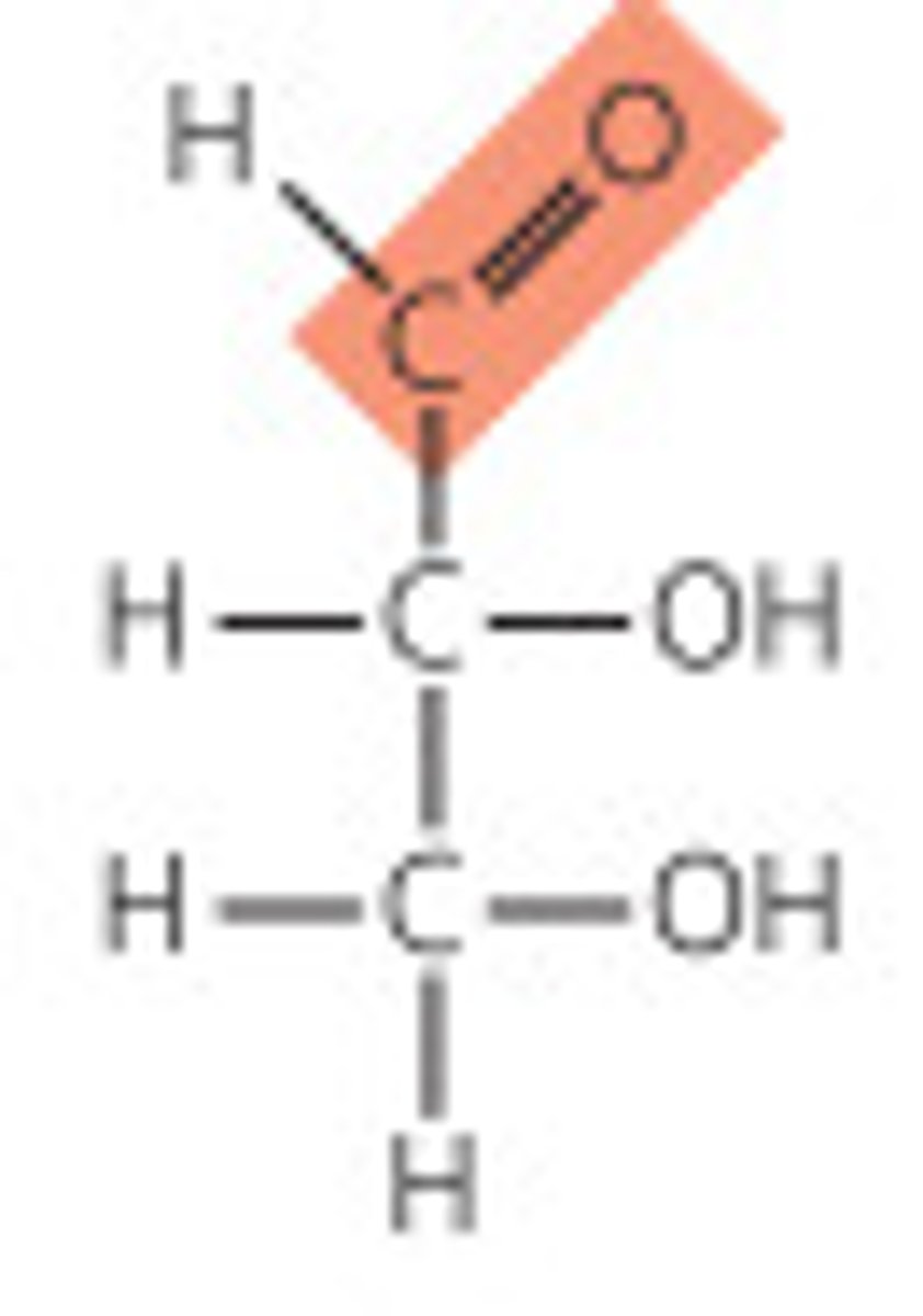 <p>carbonyl group is at an end of the carbon chain (in an aldehyde group)</p>