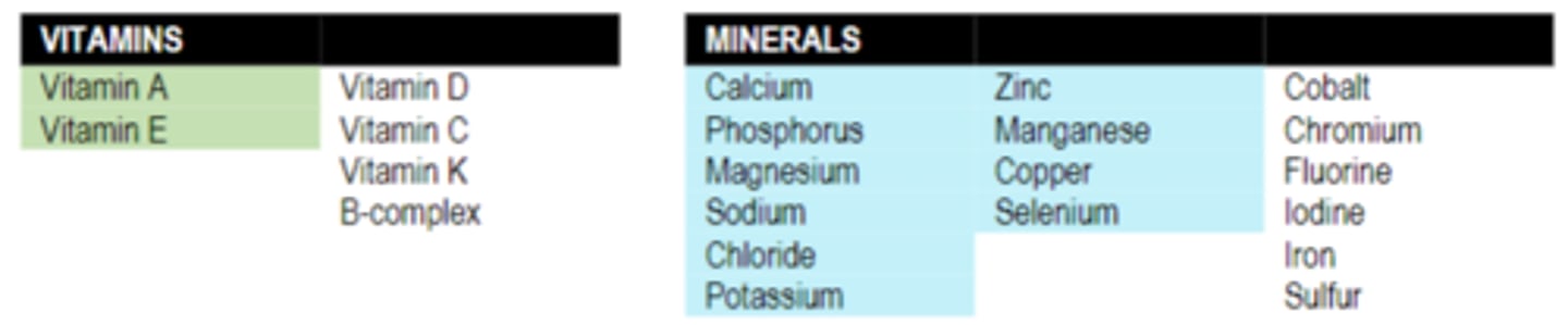 knowt flashcard image