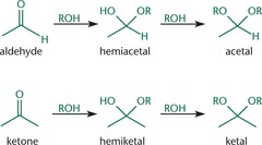 <ul><li><p>Acetals and Ketals are comparatively inert, are frequently used as protecting groups for carbonyl functionalities.</p></li><li><p>once a hemiacetal and hemiketal is formed, the hydroxyl group is protonated and released as a molecule of water; alcohol then attacks, forming an acetal or ketal.</p></li></ul>