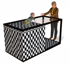 a laboratory device for testing depth perception in infants and young animals. (Myers Psychology for AP 2e p. 184) Indicates some depth perception is innate.