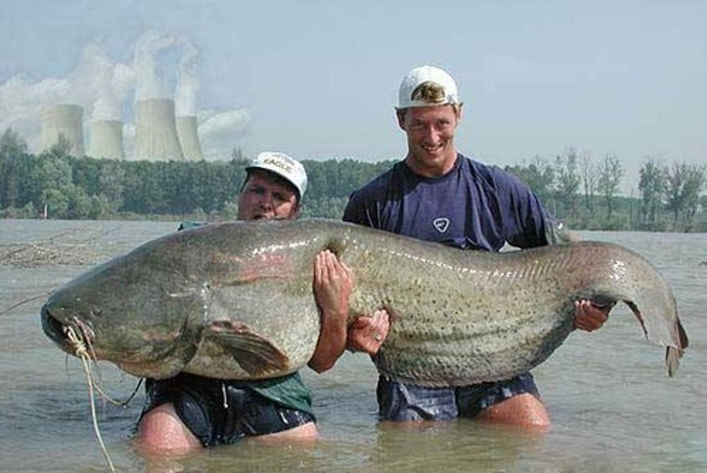 <p>considerable, substantial, significant</p>