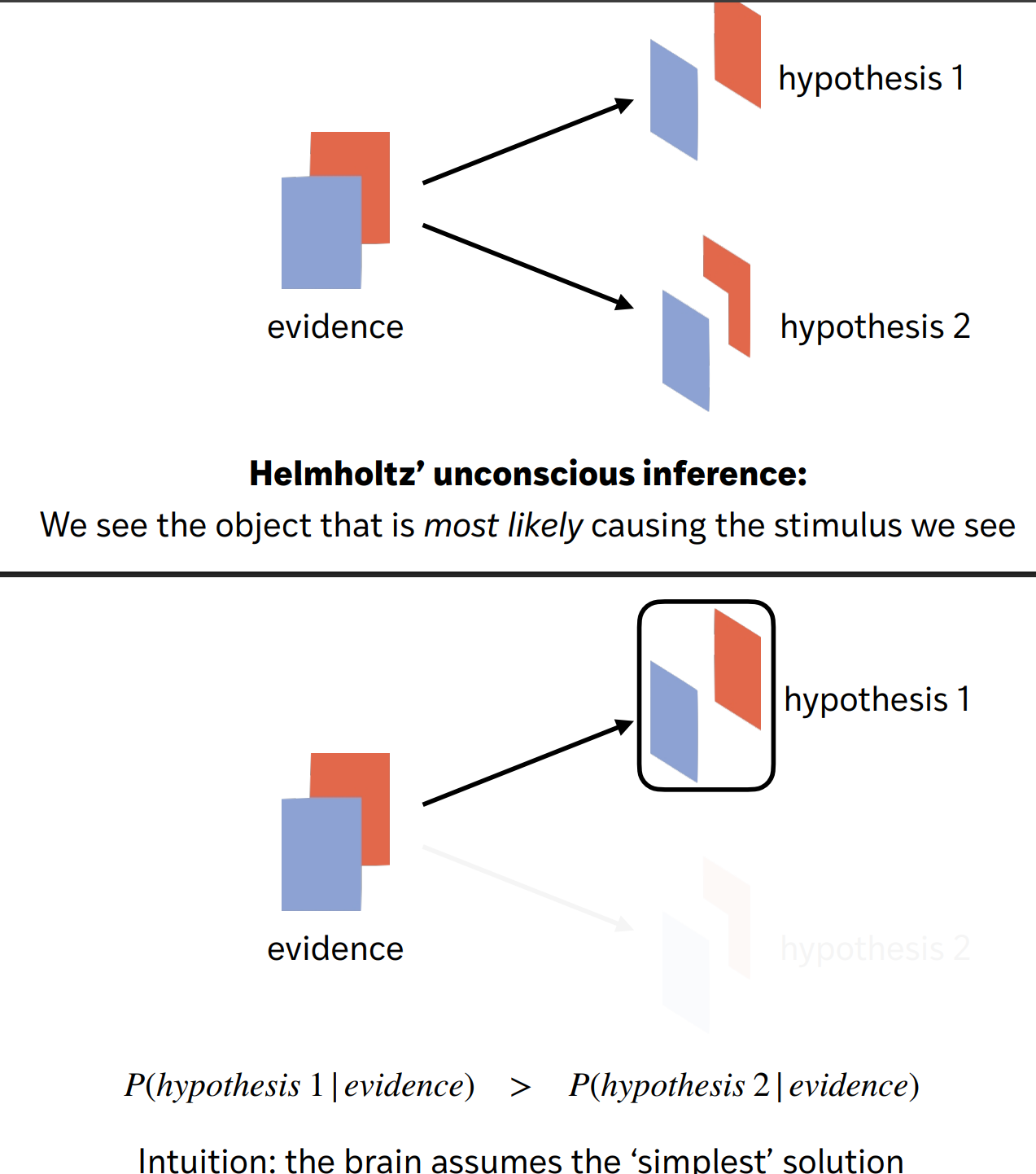 <p>perception is a form of <em>inference</em> —&gt; we see the object that is <em>most likely</em> causing the stimulus we observe (<strong><u>the likely principle</u>)</strong></p><p></p><p>— relates to the task of determining the object responsible for a particular image on one’s retina: <strong><u>the inverse projection problem</u></strong></p><ul><li><p>REMEMBER:  are children actually small or just really far away SNL sketch</p></li></ul><p></p>