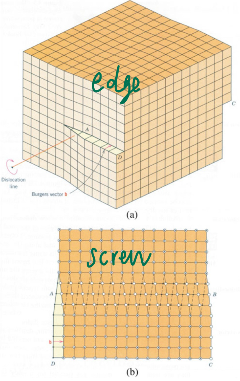 <ul><li><p>imperfection for crystalline solids</p></li><li><p>types:</p><ul><li><p>edge dislocations: book with pages slightly pushed in middle- the edge of the extra plane is dislocation line</p></li><li><p>screw dislocations: lattice spirals around dislocation line</p></li></ul></li></ul><p></p>