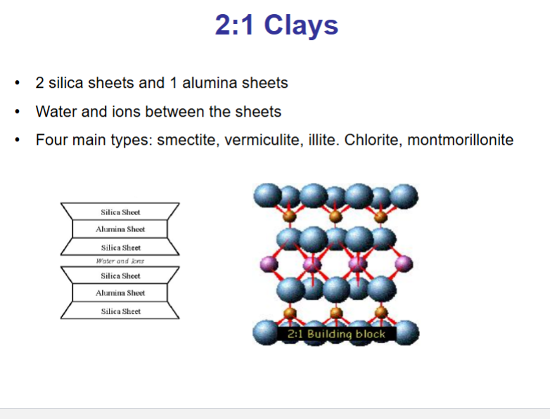 <p>The charge imbalance that results from substitution in the tetrahedral layer (negative charge) is neutralised by loosely bound cations adsorbed into clay mineral surfaces. </p>