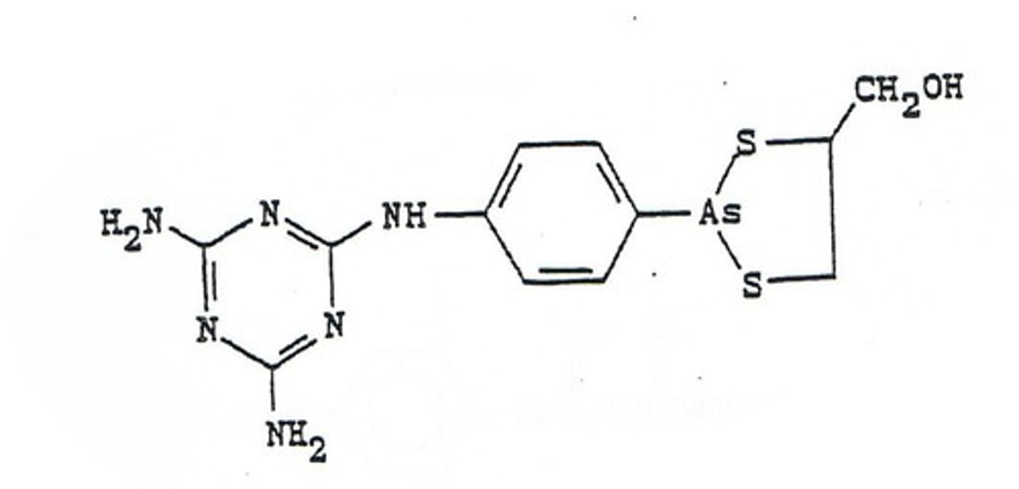<p>melarsoprol used against early stage african sleeping sickness (Trypanosoma brucei) by inhibiting enzymes</p>