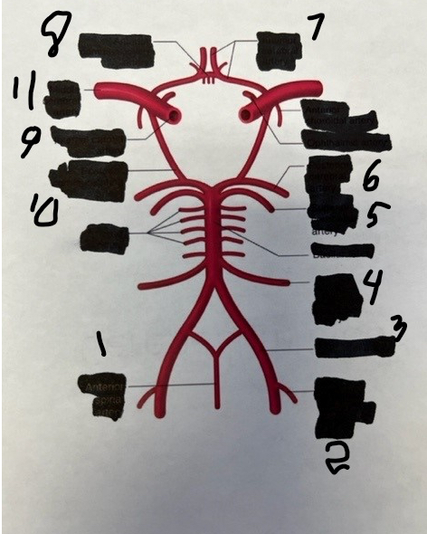 <p>3</p>