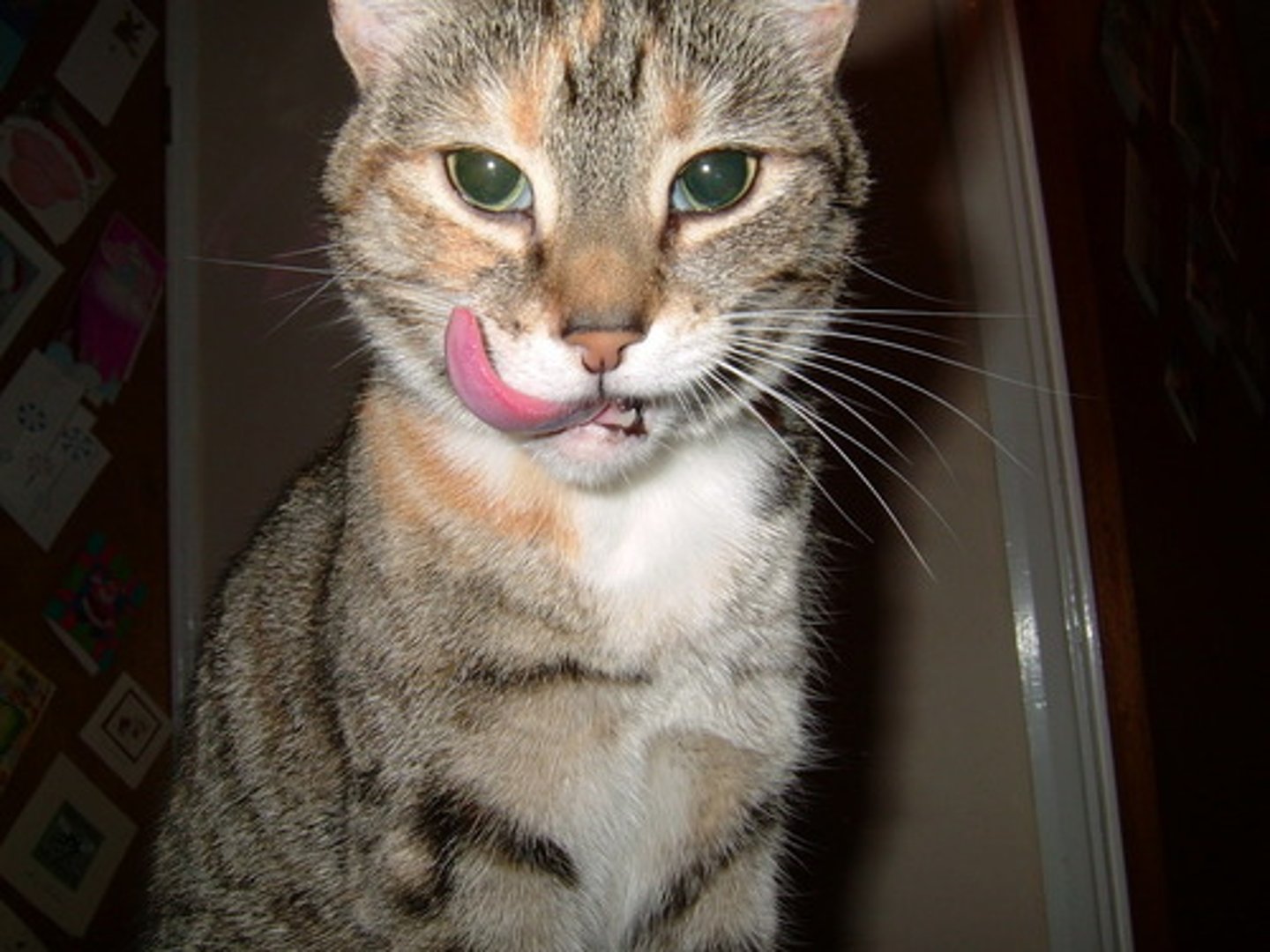 <p>tasty</p>