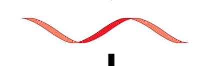 <p>WHAT THIS (DNA, RNA OR AMINO ACID)</p>