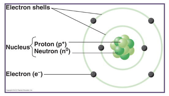 <p>every atom is composed of a single centrally located nucleus which contains protons and neutrons and are surrounded by electrons in orbitals.</p>