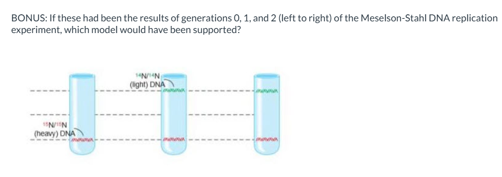 <p>If these had been the results of generations 0, 1, and 2 (left to right) of the Meselson-Stahl DNA replication experiment, which model would have been supported?</p>