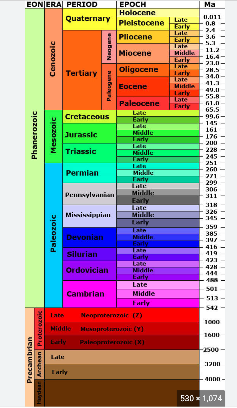 knowt flashcard image