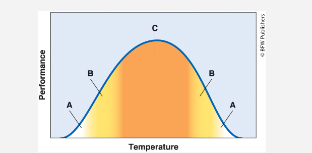 <p>The areas on the graph marked “A” represent where a species is able to'</p><p><span>only survive. </span></p><p><span>survive and grow. </span></p><p><span>survive and reproduce. </span></p><p><span>survive, grow, and reproduce.</span></p>