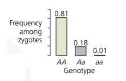 <p>initial allele frequencies: A = 0.9, a = 0.1</p><p>mutation rate: 1/10,000 A alleles mutate to a per generation</p><p>in a population of 10,000: A = 9000, a = 1000</p><p>after mutation → A = 8,999, a = 1,001 (population numbers)</p><p>allele frequencies after mutation: A = 0.8999, a = 0.1001</p>