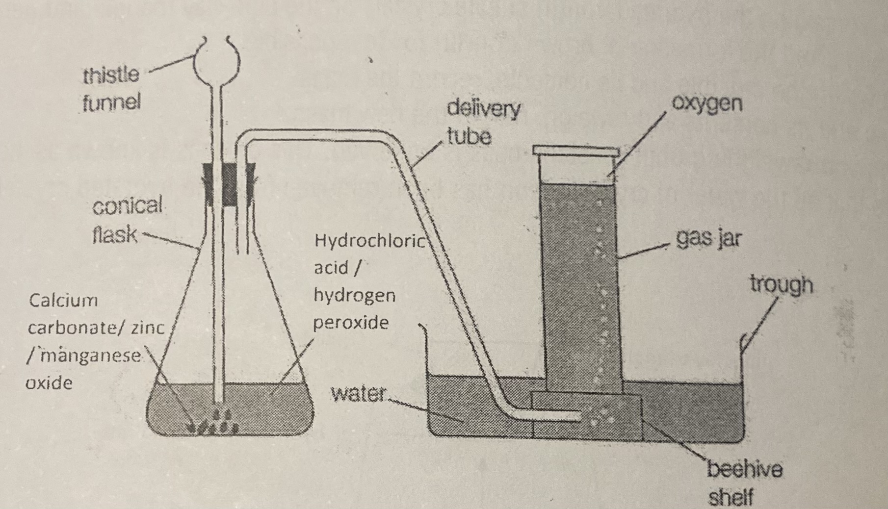 <ol><li><p>Carefully place the calcium carbonate into the conical flask.</p></li><li><p>Collect 50 cm<sup>3</sup> of hydrochloric acid in a small beaker.</p></li><li><p>Connect the delivery tube and thistle funnel to the conical flask with the delivery tube in a basin of water.</p></li><li><p>Have three gas jars/test tubes filled with water also inverted in the basin of water.</p></li><li><p>Carefully pour the hydrochloric acid into the thistle funnel, wait 5 s then carefully place the first water filled gas jar/test tube over the end of the delivery tube. Allow the gas jar/test tube to fill with gas (when all of the water has been displaced).</p></li><li><p>Leave the gas jar/test tube inverted in the water to retain the gas.</p></li><li><p>Repeat step 5 until three gas jars/test tubes of gas have been collected.</p></li><li><p>Remove each gas jars/test tube from the water as required for the following tests.</p></li></ol><p></p>