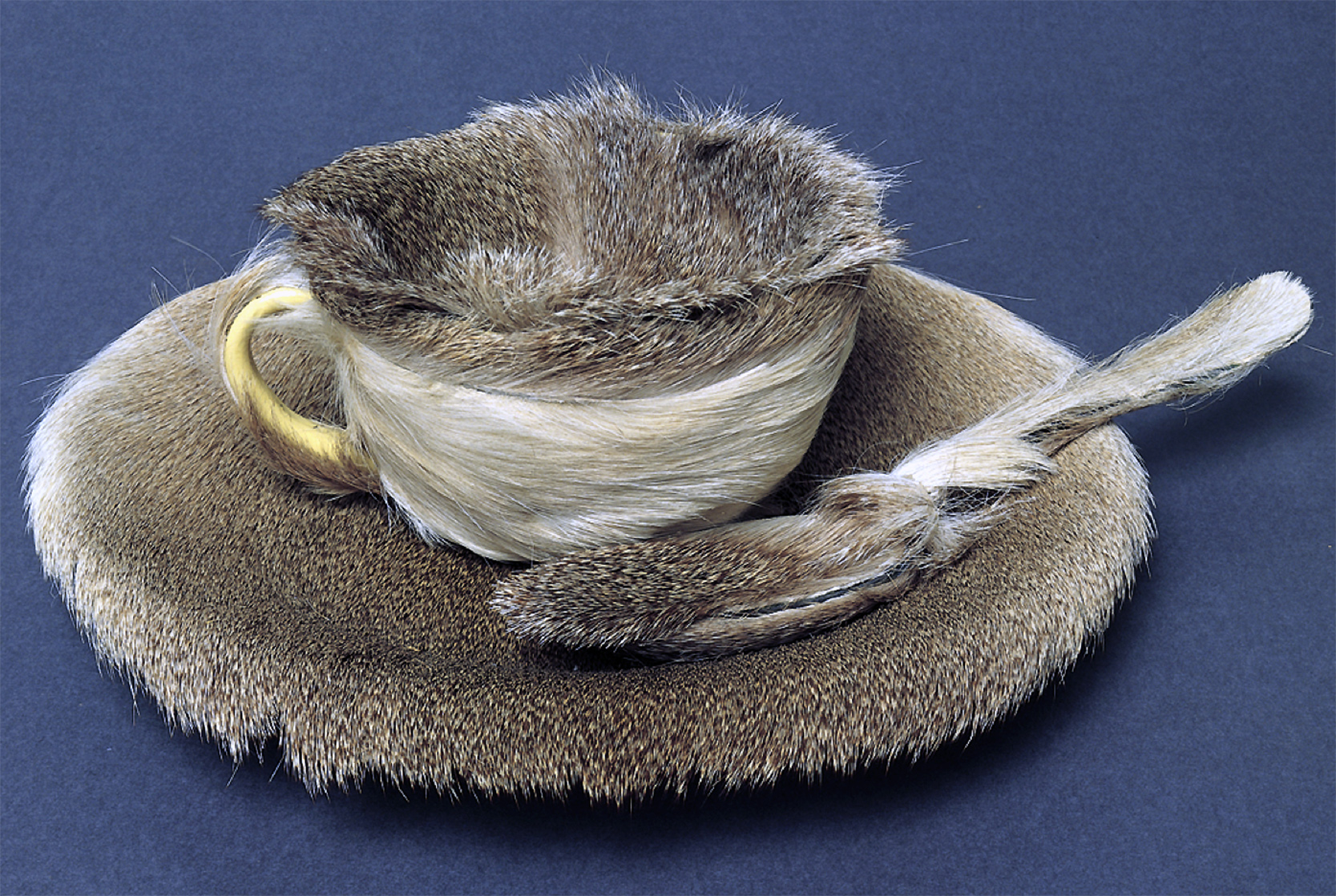 <p>Object (Fur Cup)</p>