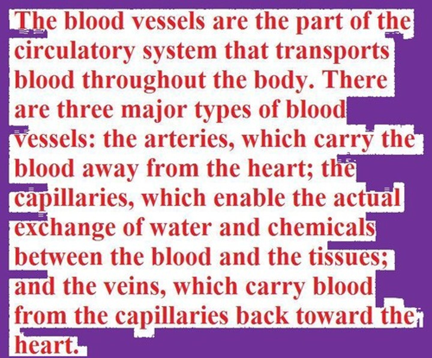 <p>vessel</p>