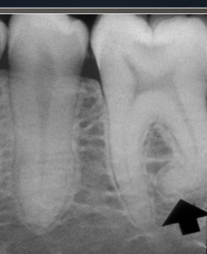 <p>what is shown here? </p>