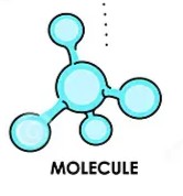 <p>Molecule</p>